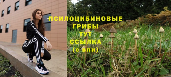 прущие крисы Абдулино