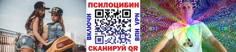 Галлюциногенные грибы Psilocybe  цены наркотик  Кораблино 